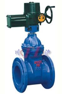 電動(dòng)彈性座封閘閥